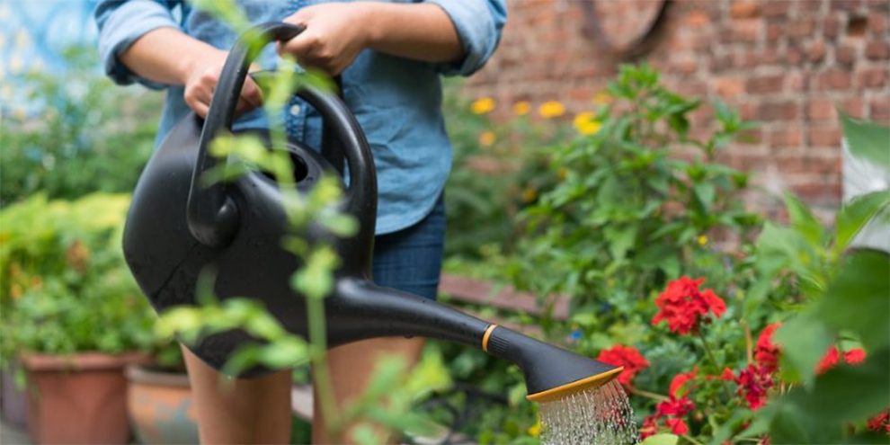 Top Rated Watering Cans For Indoors & Outdoors
