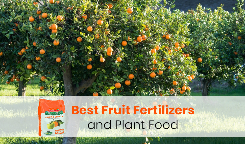 Best Fruit Fertilizers and Plant Food
