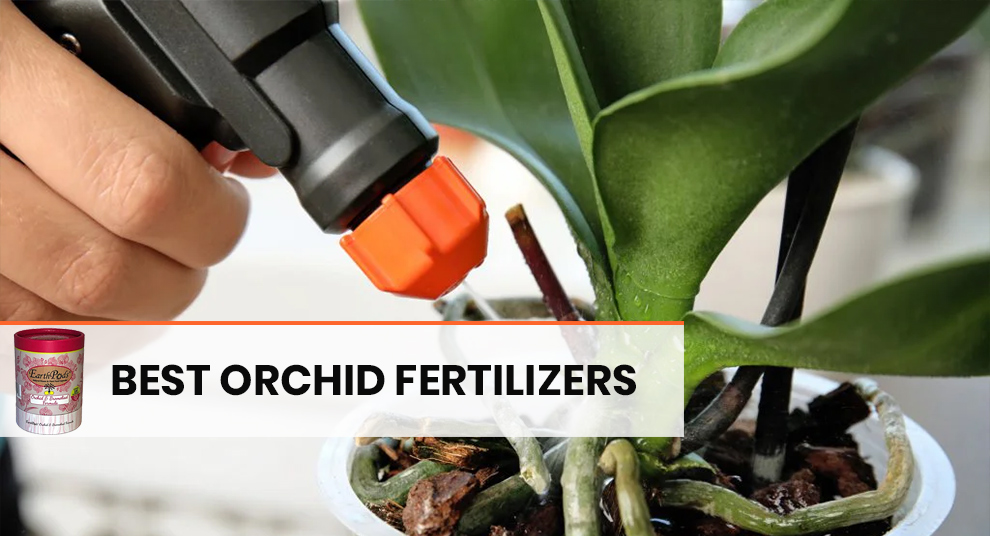 Orchid food