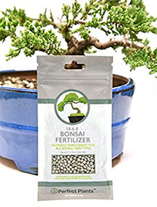 Bonsai Fertilizer Pellets by Perfect Plants