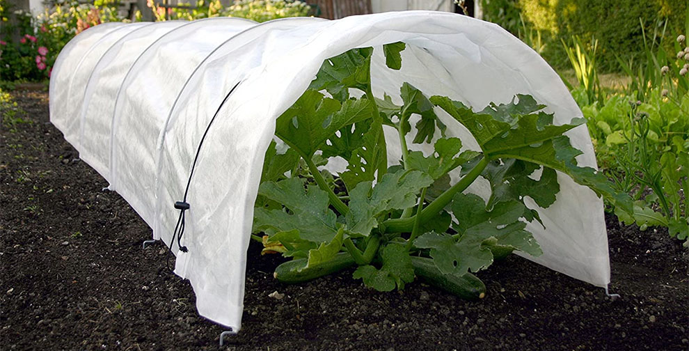 How To Protect Your Winter Crops