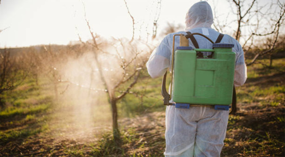 Store Bought Chemical Fungicides