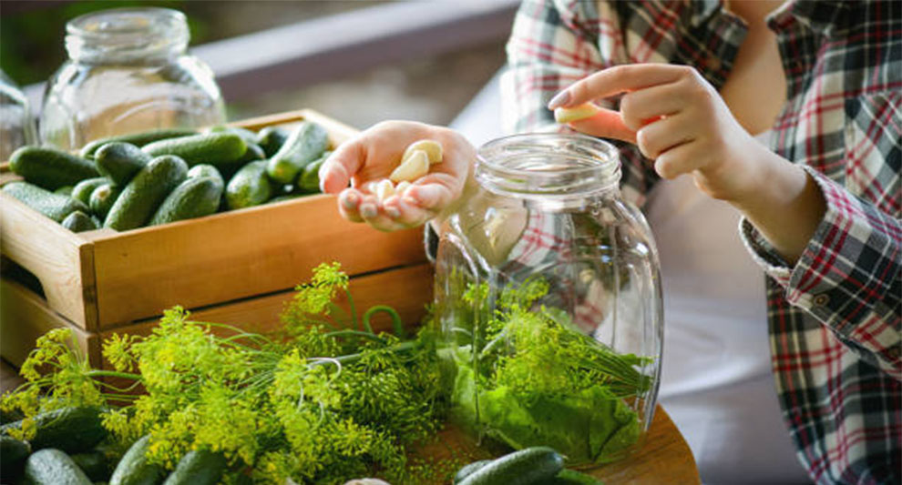 Caring For Celery Seeds