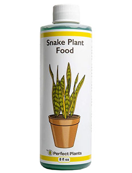 Perfect Plants Liquid Snake Plant Fertilizer