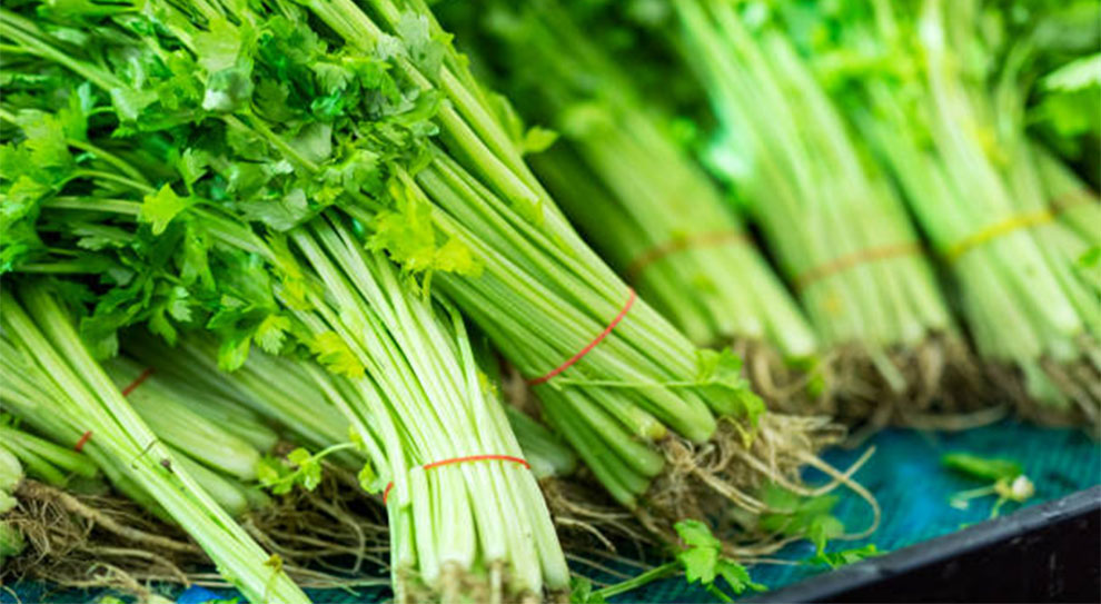 Store Celery