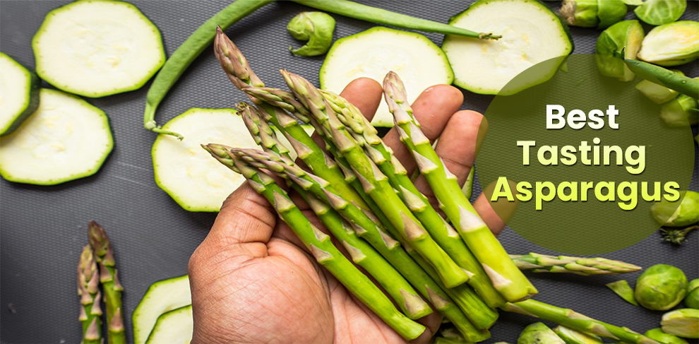 Best Tasting Asparagus