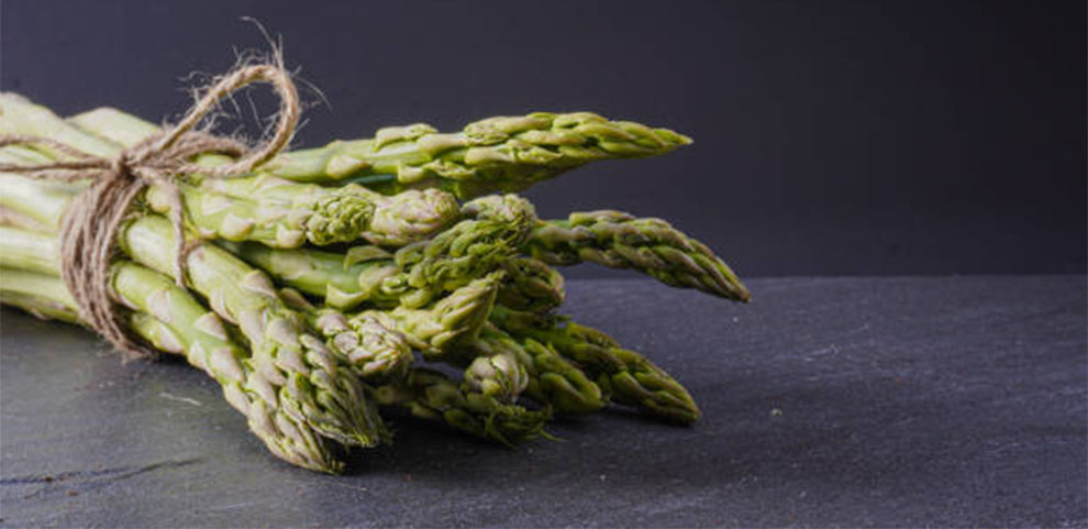 Erasmus Asparagus