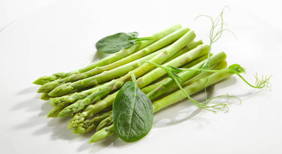 Jersey Series Asparagus