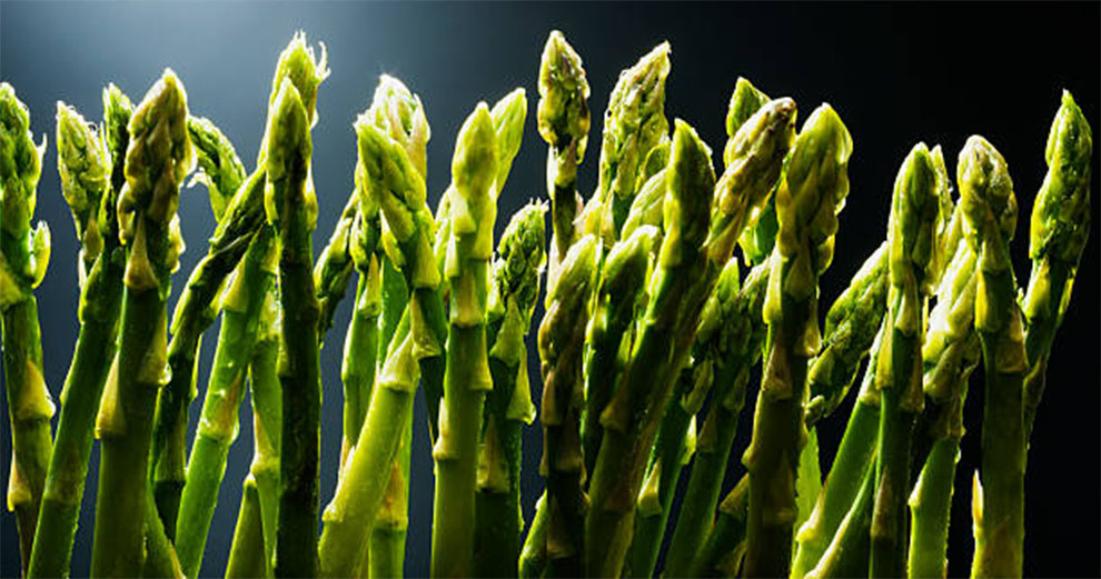 Male Vs. Female Asparagus