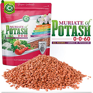 Muriate of Potash 0-0-60 Fertilizer 
