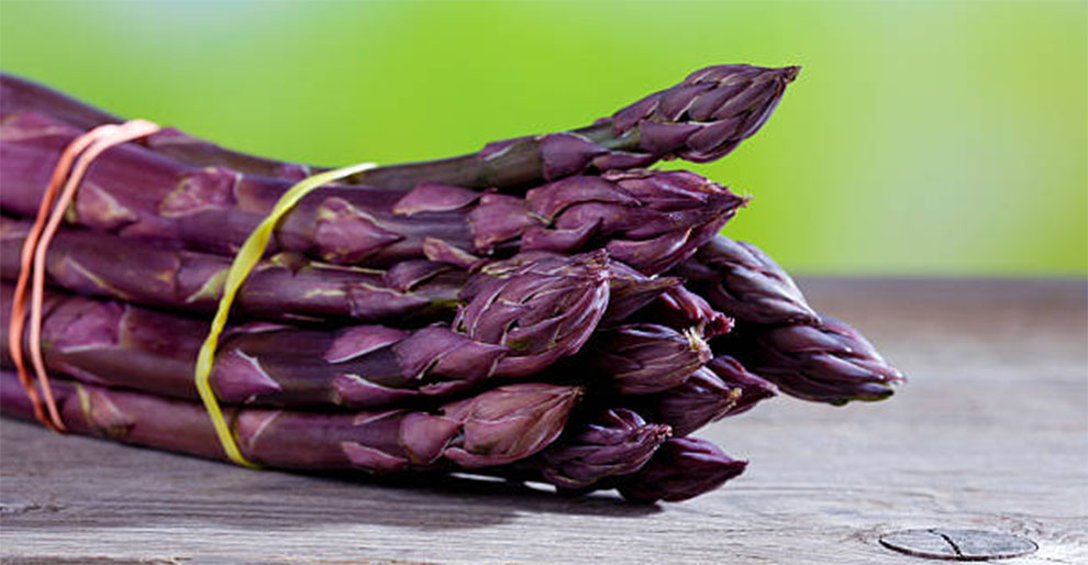 Purple Asparagus