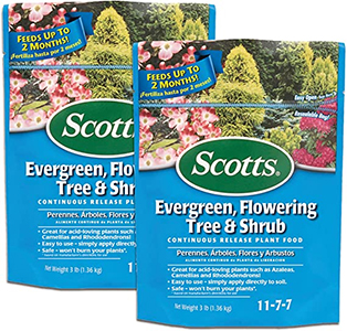 Scotts Evergreen, Flowering Tree & Shrub Continuous Release Plant Food