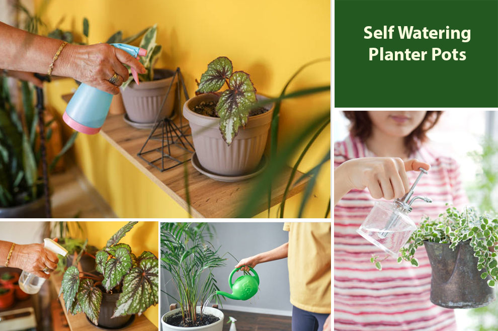 Self Watering Planter Pots