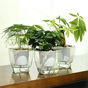 Self watering Planter, FENGZHITAO Clear Plastic Automatic-Watering Planter Flower Pot
