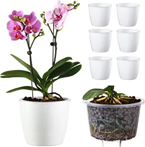 Self watering Planters Flower Pots for Indoor Garden