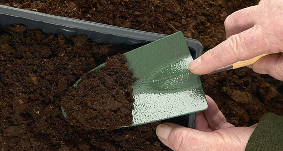 Testing Your Soil Before Choosing A Fertilizer