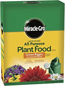 The Miracle-Gro Water Soluble all-purpose plant food