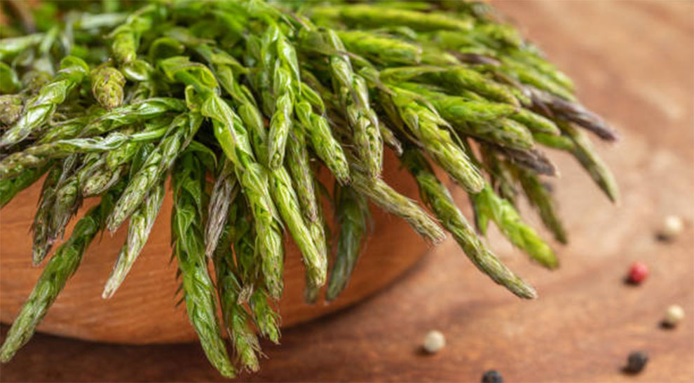 Wild Asparagus