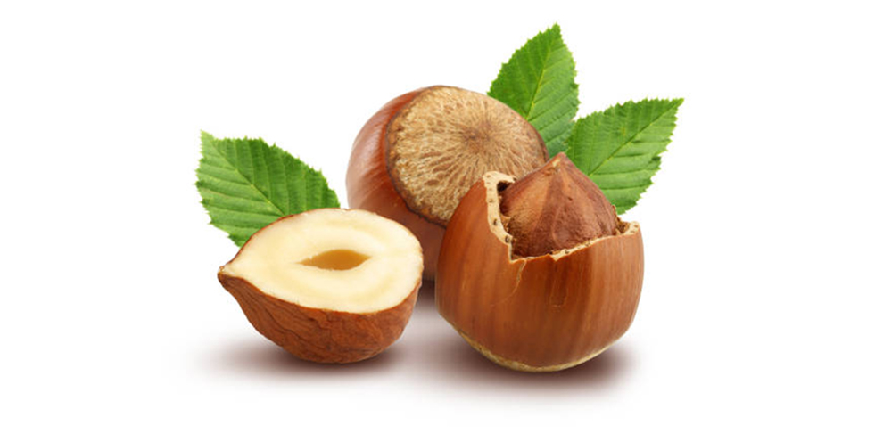 Asian Hazelnut