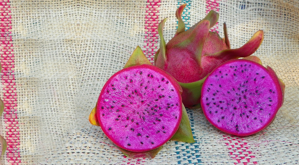 Cosmic Charlie Dragon Fruit