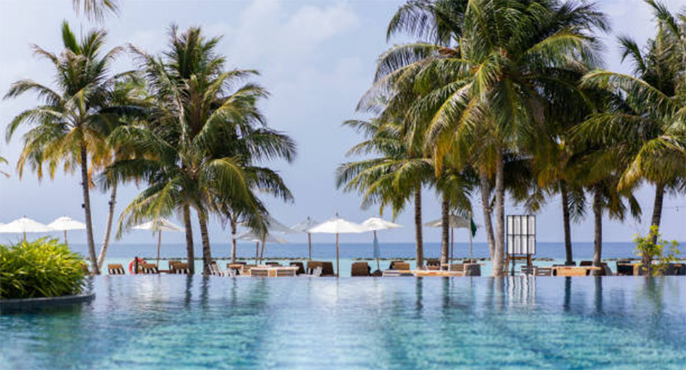 Landscaping Ideas With Palms Around Pools