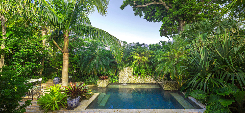 Landscaping Ideas With Palms Around Pools