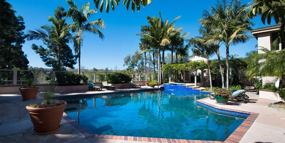 Consider Before Planting Palms Around Pool Areas