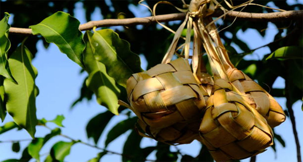 Protecting Longan Trees From Pests