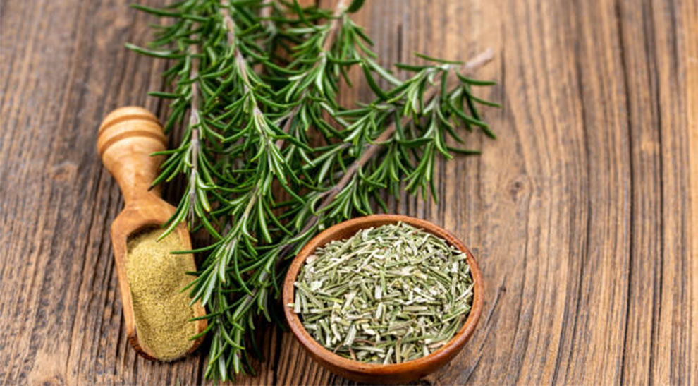 Best Rosemary Varieties For Cooking