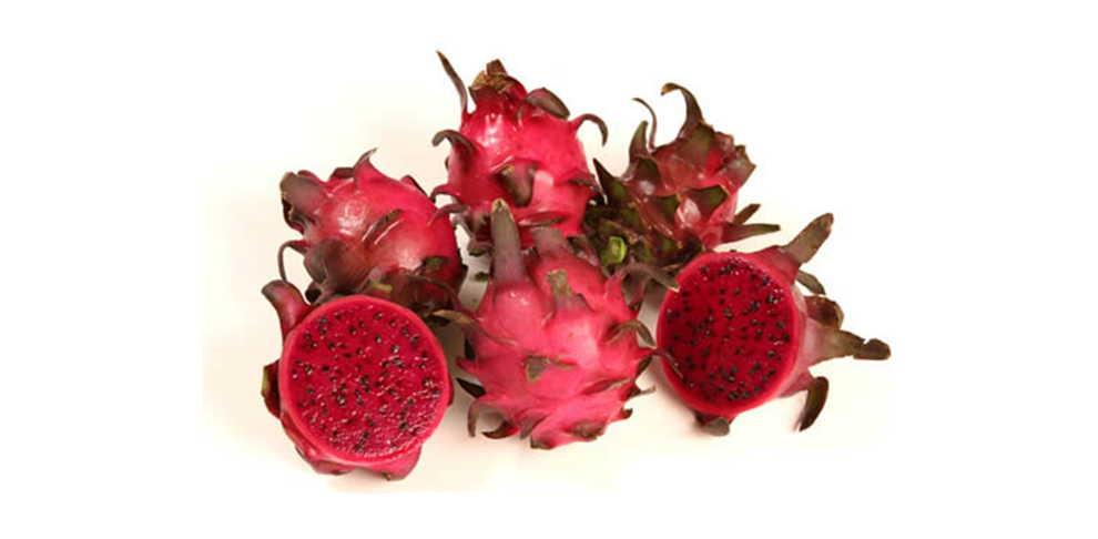 Zamorana Dragon Fruit