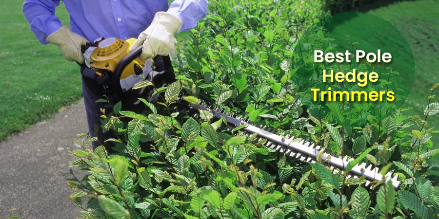Best Pole Hedge Trimmers