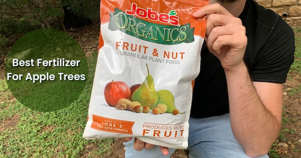 Best Fertilizer For Apple Trees