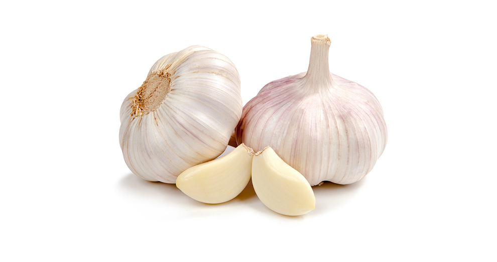 Garlic