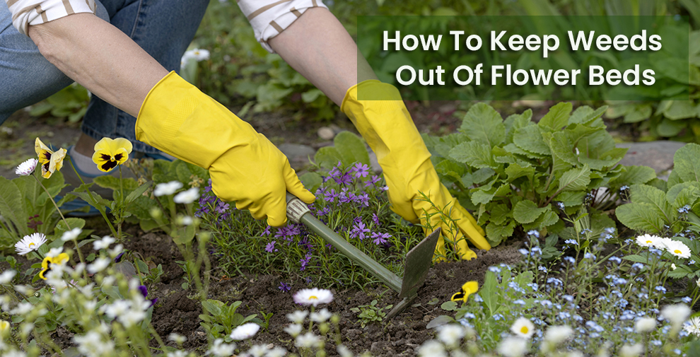 How To Keep Weeds Out Of Flower Beds