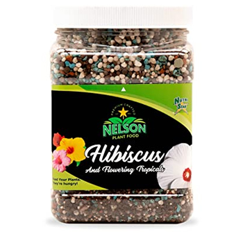Best Granular Fertilizer Nelson Plant