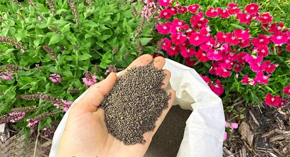 Fertilizers For Hibiscus Trees