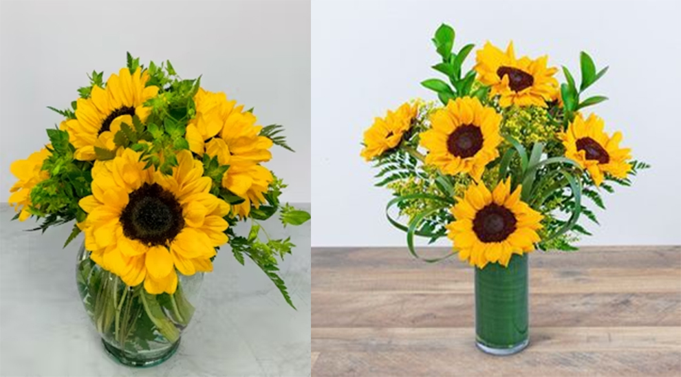 Take Care Of A Sunflower Plant Indoors