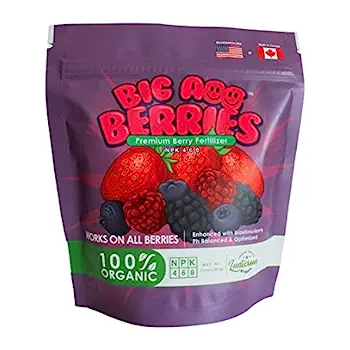 Big A Berries Fertilizer