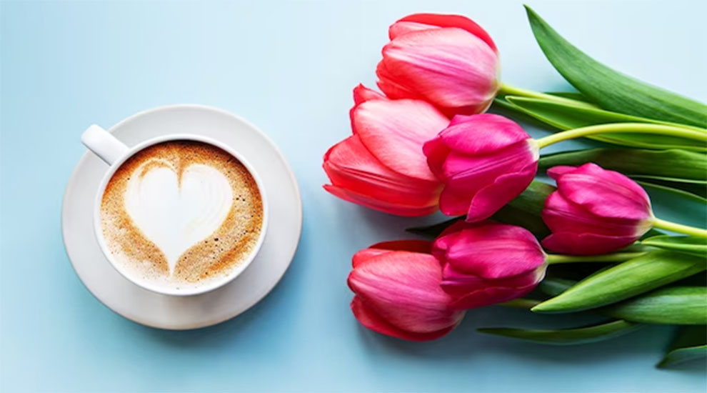 Coffee Good For Tulips