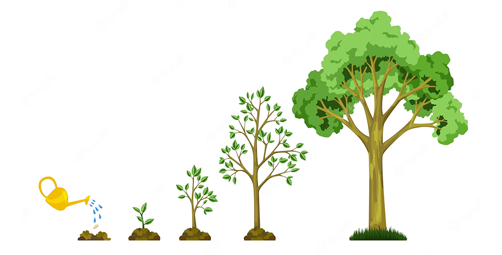 Tree Development