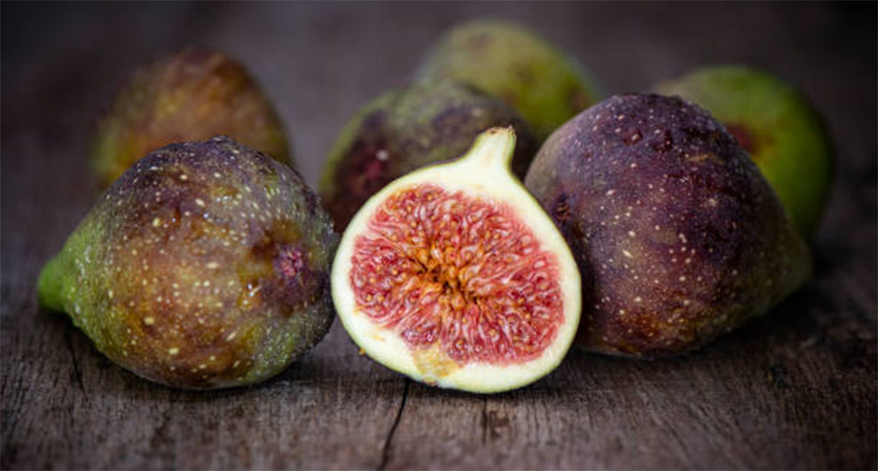 Fig Tree Life Expectancy & Signs Of A Dying Fig
