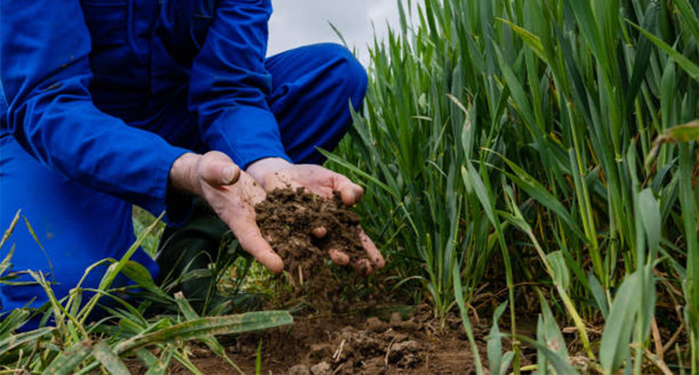 Soil Testing