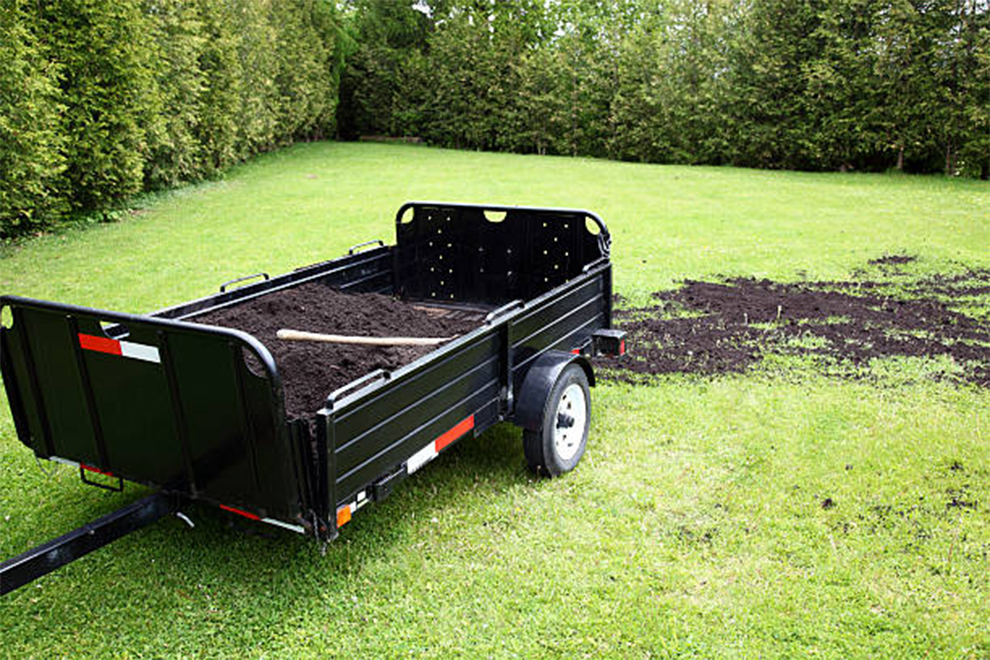 Green Manure